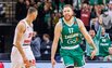 Brazdeikis