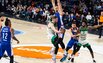 Brazdeikis
