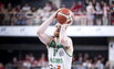 Brazdeikis