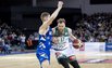 Brazdeikis