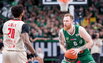 Brazdeikis