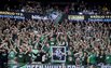 Green White Boys