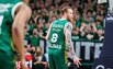 Brazdeikis