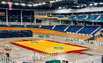 Kalnapilio arena