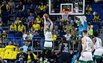 Brazdeikis