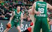 Brazdeikis