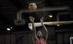 Pargo