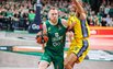 Brazdeikis