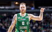Brazdeikis