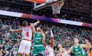 Brazdeikis