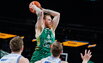 Brazdeikis