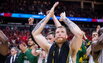 Brazdeikis