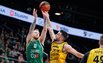 Brazdeikis
