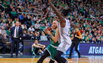 Brazdeikis