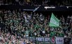 Green White Boys