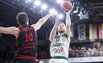 Brazdeikis