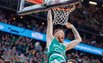 Brazdeikis