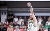 Brazdeikis