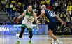 Brazdeikis