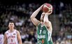 Brazdeikis