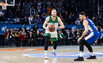 Brazdeikis