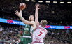 Brazdeikis