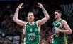 Brazdeikis