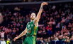 Brazdeikis