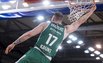 Brazdeikis