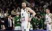 Brazdeikis