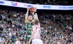 Brazdeikis