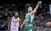 Brazdeikis