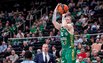 Brazdeikis