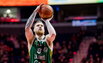 Brazdeikis