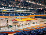 Kalnapilio arena