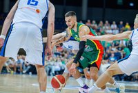 D.Sirvydis apžvelgė rungtynes (BNS nuotr.)