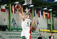I.Štombergas vėl tempė rinktinę (FIBA nuotr.)