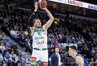 E.Ulanovas pažįsta „Fenerbahče“ iš vidaus (LKL nuotr.)