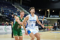 A.Malekas toliau žais NKL