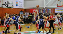 Vytis