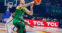 Brazdeikis