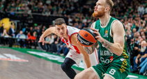 Brazdeikis