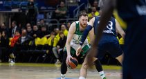 Brazdeikis
