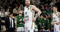 Brazdeikis