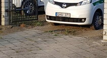 V.Dilio siautėjimas N.Bunkės namuose