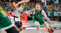Brazdeikis