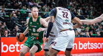 Brazdeikis
