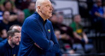 Kurtinaitis