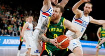 Brazdeikis