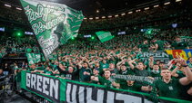 Green White Boys